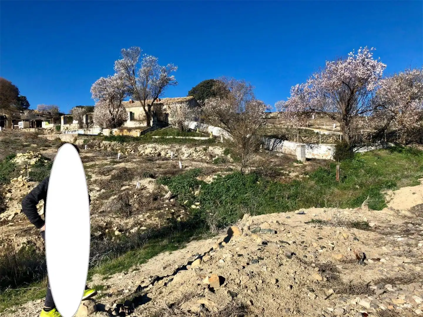 Finca rústica en venda a Calle Circunvalacion, 5, Gobernador Finca rústica en venda en Gobernador