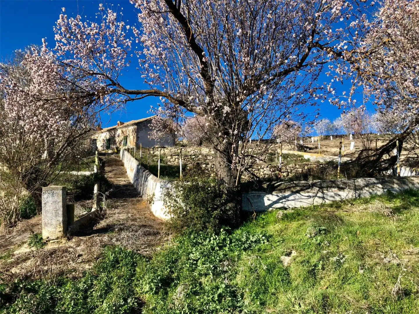 Finca rústica en venda a Calle Circunvalacion, 5, Gobernador Jardí de Finca rústica en venda en Gobernador
