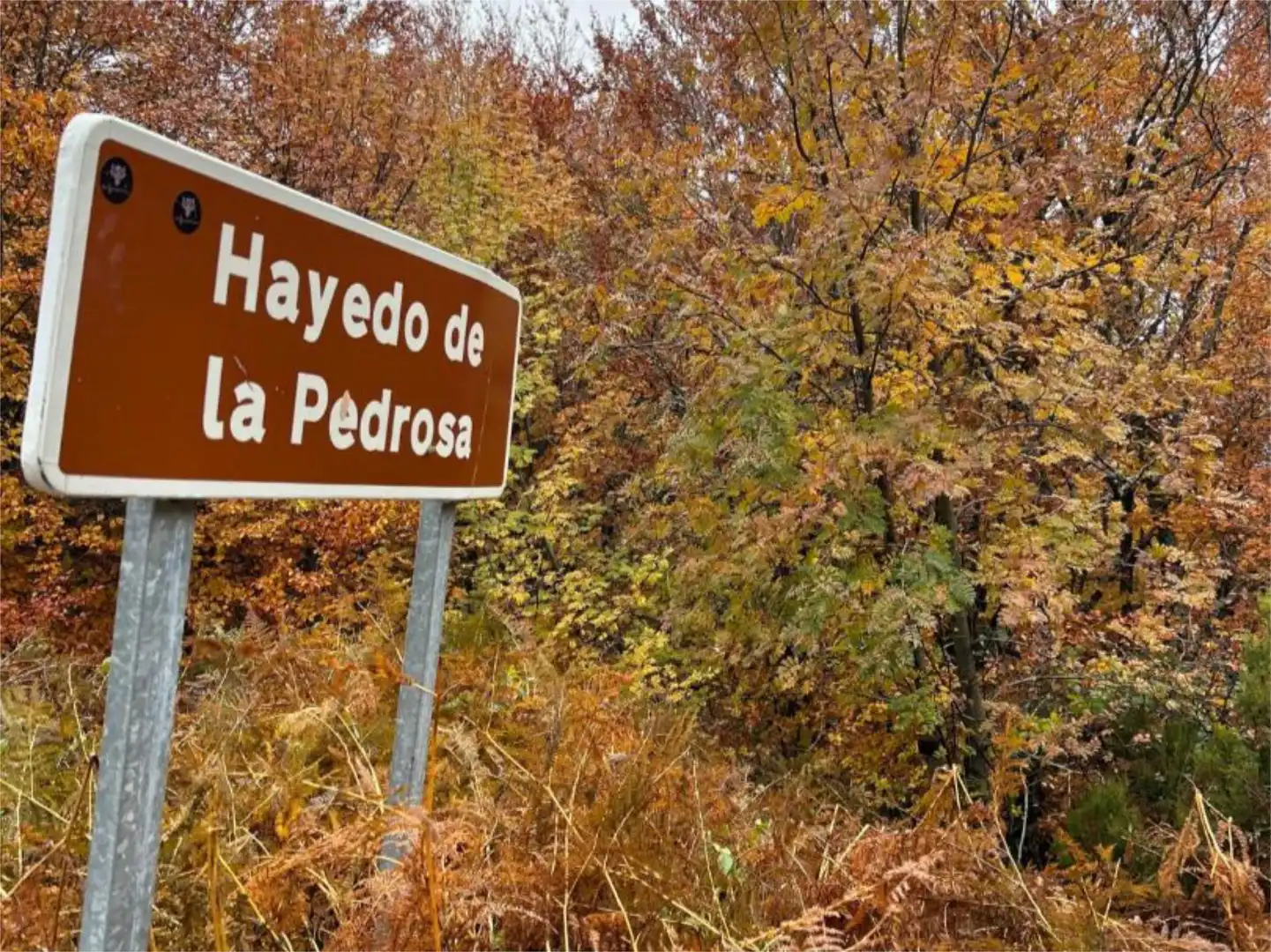 Flat for rent in Calle Riaza, 51, Castillejo de Mesleón