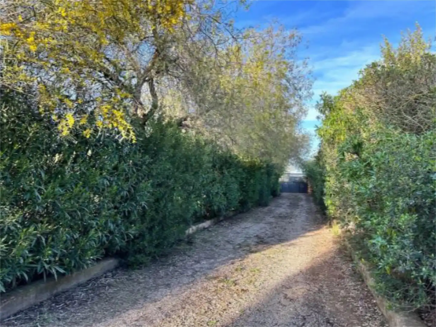 Country homes for sale in Diseminado Diseminados Var, 750, Santa Eugènia