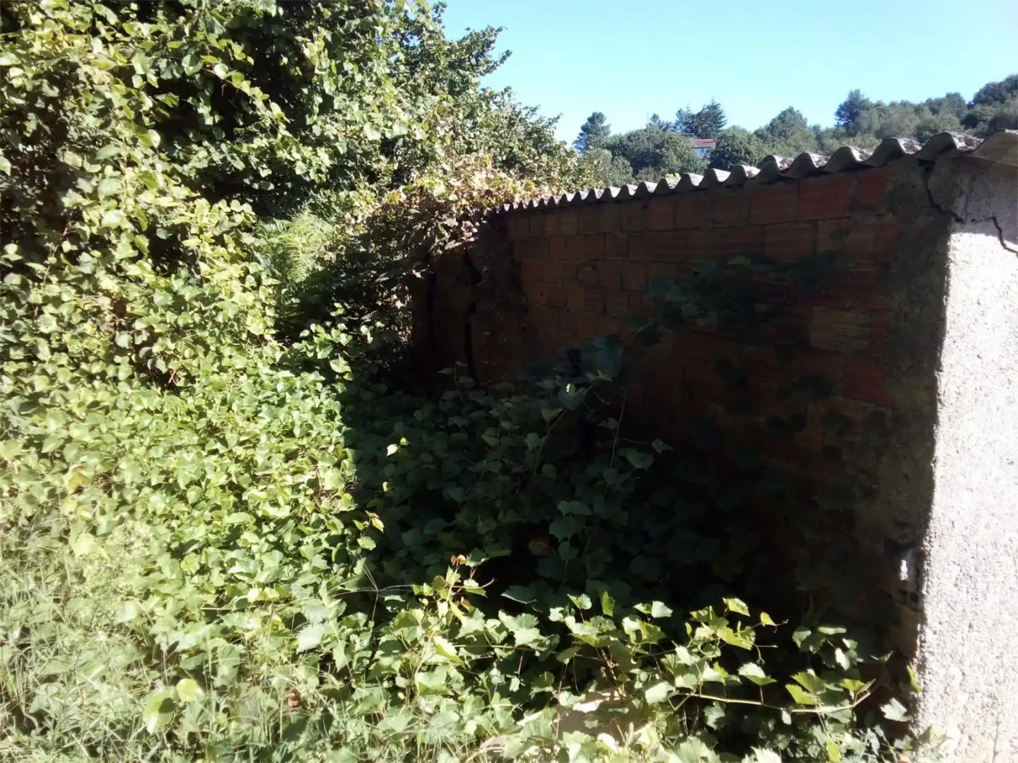 Garaje en venta en Monforte de Lemos