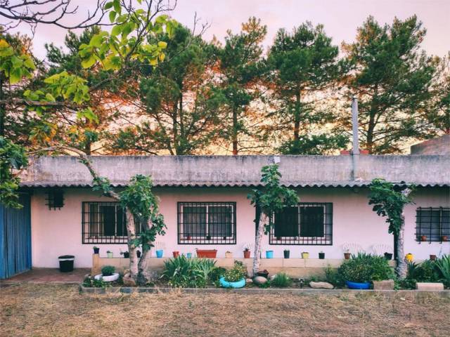 Terreno en Venta en Lugar Chozas Abajo, 1024 en Chozas de Abajo