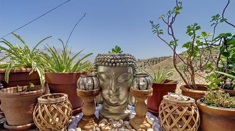 Single-family semi-detached for sale in Calle la Fuente, 6, Cútar, Málaga - image 5 Photo 5 of Single-family semi-detached for sale in Calle la Fuente, 6, Cútar, Málaga