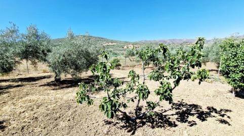 Photo 2 of House or chalet to rent in Calle Rio de la Cueva, 14, Riogordo, Málaga