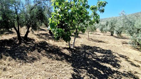 Photo 5 of House or chalet to rent in Calle Rio de la Cueva, 14, Riogordo, Málaga