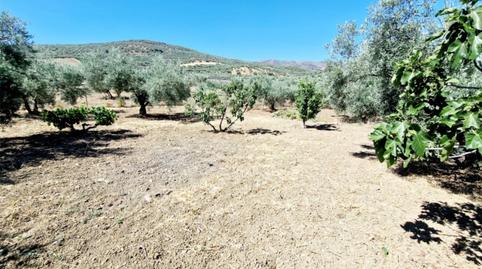 Photo 3 of House or chalet to rent in Calle Rio de la Cueva, 14, Riogordo, Málaga