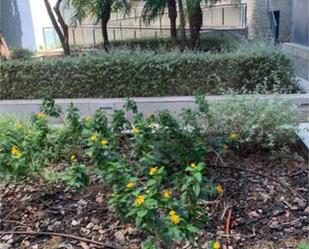 Jardí de Loft de lloguer en  Valencia Capital amb Terrassa i Piscina