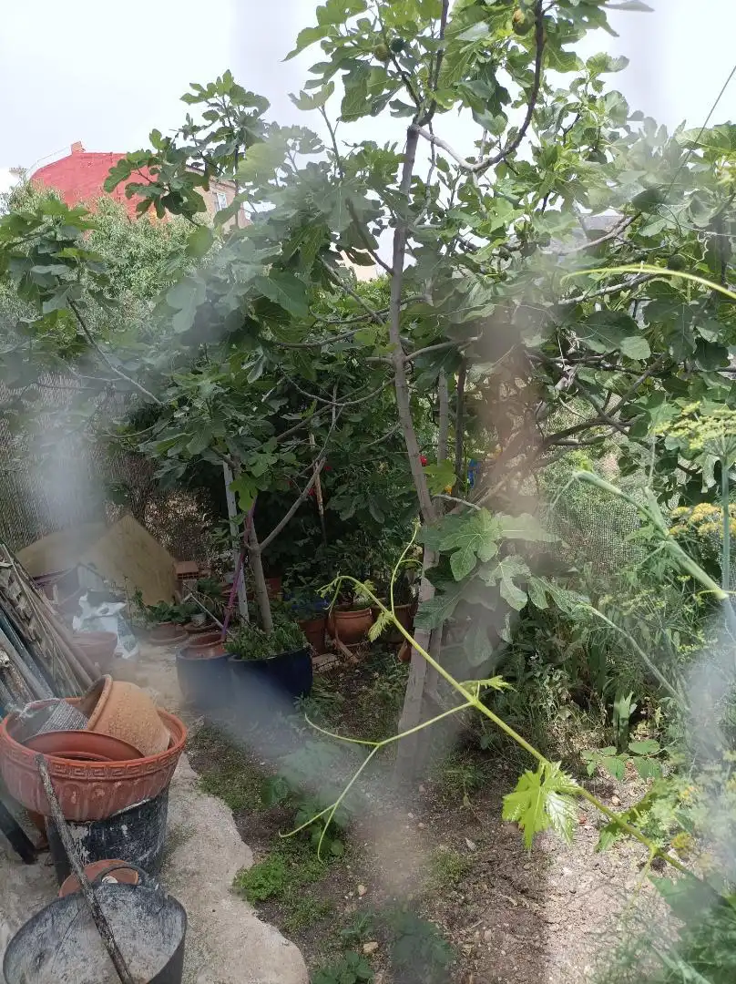 Casa adosada en venda en Noalejo amb Aire condicionat, Jardí privat i Terrassa