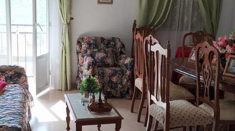 Single-family semi-detached for sale in Calle Los Olivillos, 20, Rute, Córdoba - image 4 Photo 4 of Single-family semi-detached for sale in Calle Los Olivillos, 20, Rute, Córdoba