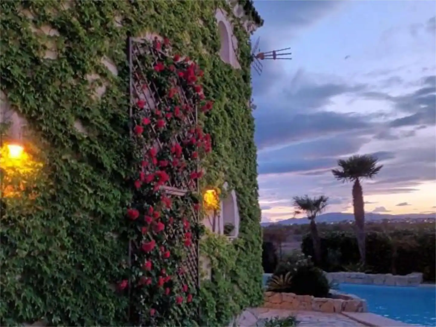 Garden of Houses for sale in Vera  with Air Conditioner, Terrace and Swimming Pool