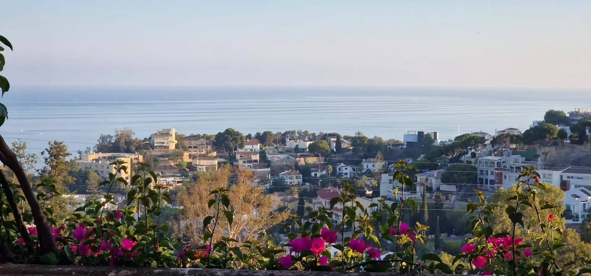 Vista exterior de Casa o chalet en venta en Málaga Capital con Terraza, Piscina y Balcón