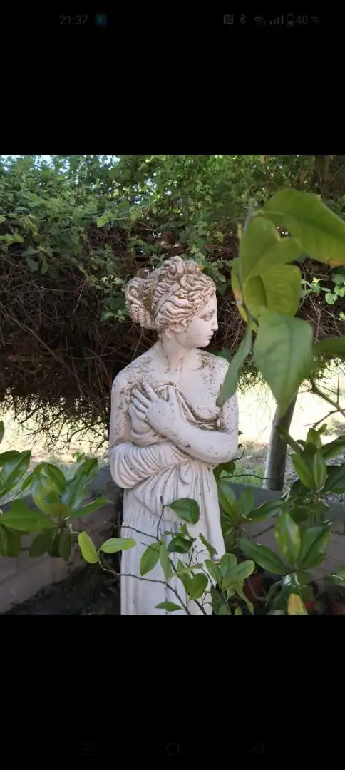 Casa o xalet en venda a Calle la Marjal, 347, Banyeres de Mariola Jardí de Casa o xalet en venda en Banyeres de Mariola amb Aire condicionat, Terrassa i Piscina