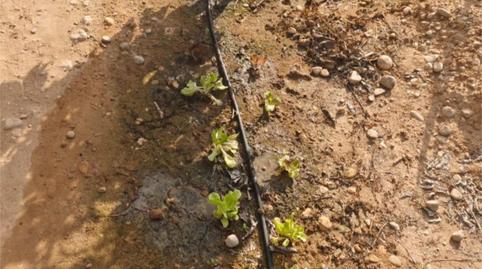 Photo 5 of Flat for sale in Camí Pont de Montaner, 119, Urbanizaciones, Valencia