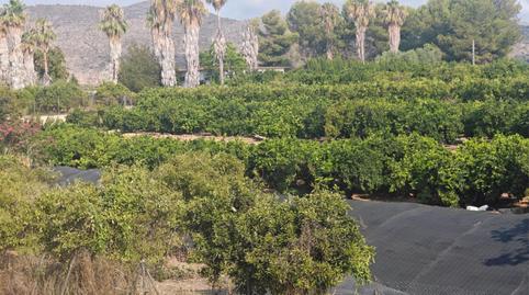 Photo 3 of Flat for sale in Camí Pont de Montaner, 119, Urbanizaciones, Valencia