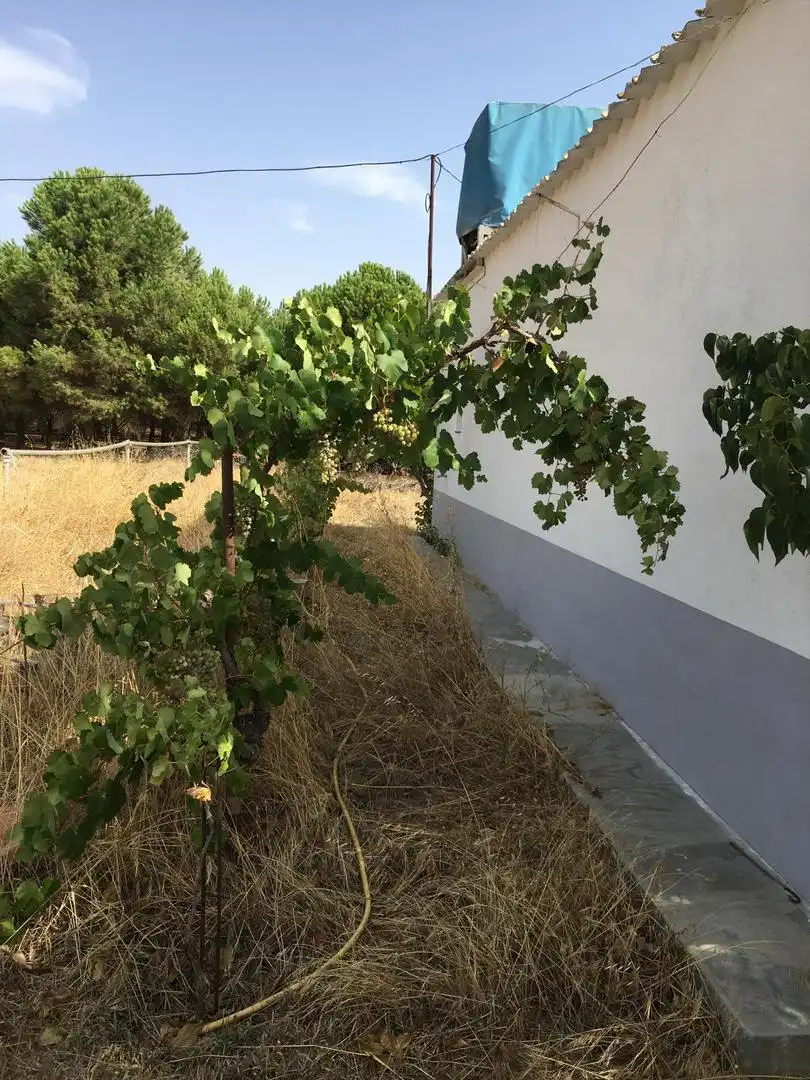 Terreno en venta en El Provencio Terreno en venta en El Provencio