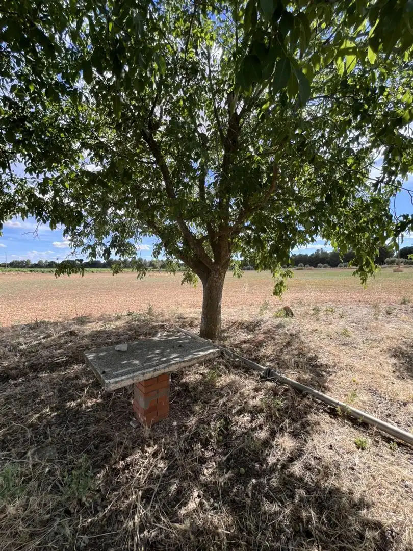 Terreno en venta en El Provencio Terreno en venta en El Provencio
