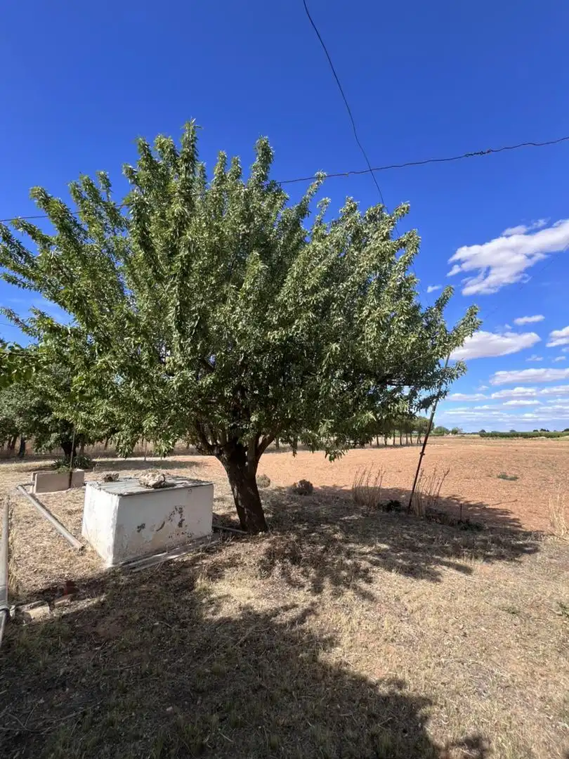Terreno en venta en El Provencio Jardín de Terreno en venta en El Provencio
