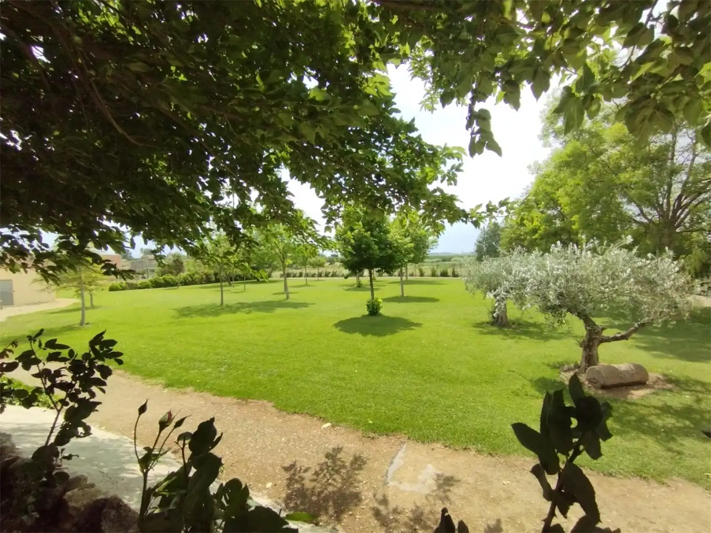 Terreno en venta en Carrer Carretera, 1, Puigverd de Lleida Jardín de Terreno en venta en Puigverd de Lleida
