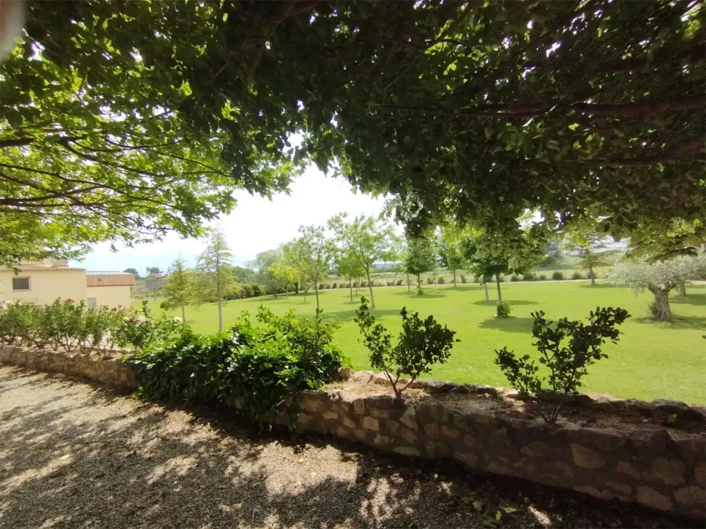 Terreno en venta en Carrer Carretera, 1, Puigverd de Lleida Jardín de Terreno en venta en Puigverd de Lleida