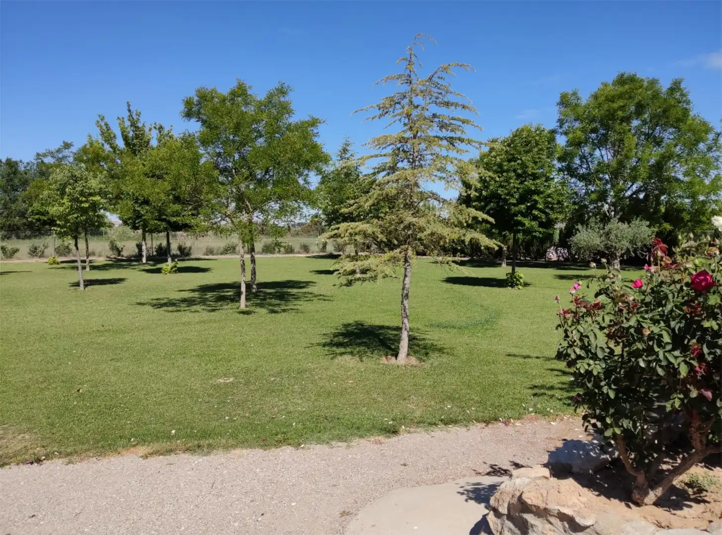 Terreno en venta en Carrer Carretera, 1, Puigverd de Lleida Jardín de Terreno en venta en Puigverd de Lleida