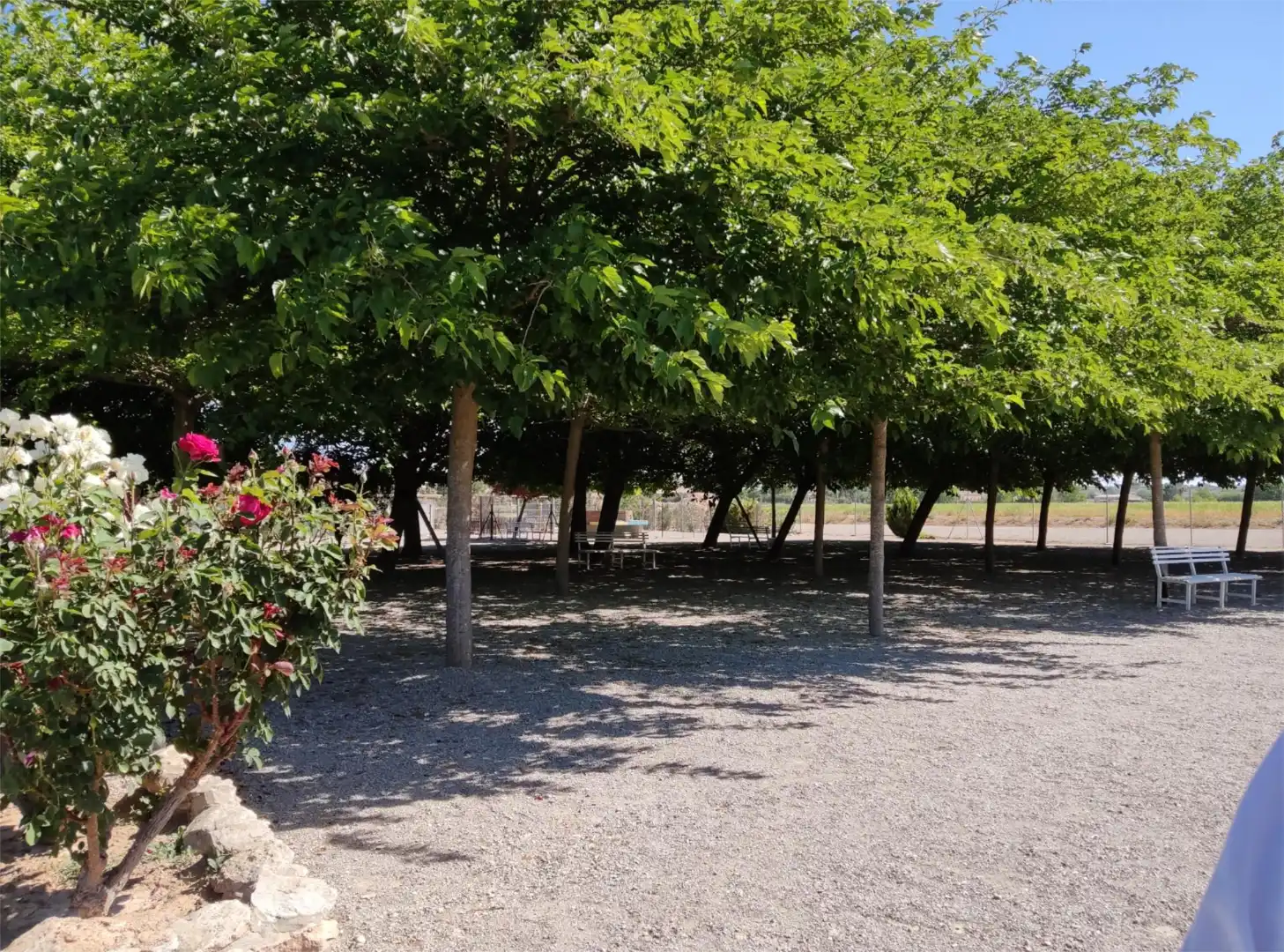 Terreno en venta en Carrer Carretera, 1, Puigverd de Lleida Jardín de Terreno en venta en Puigverd de Lleida