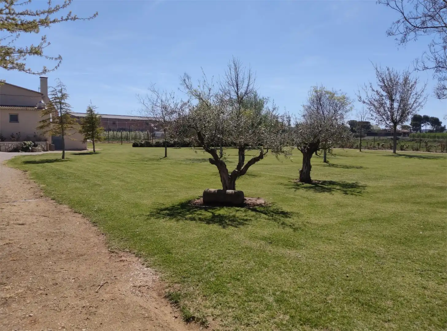 Terreno en venta en Carrer Carretera, 1, Puigverd de Lleida Terreno en venta en Puigverd de Lleida