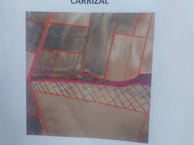 Finca rústica en Venta en Calle Larga, 14 en Torres del Carrizal