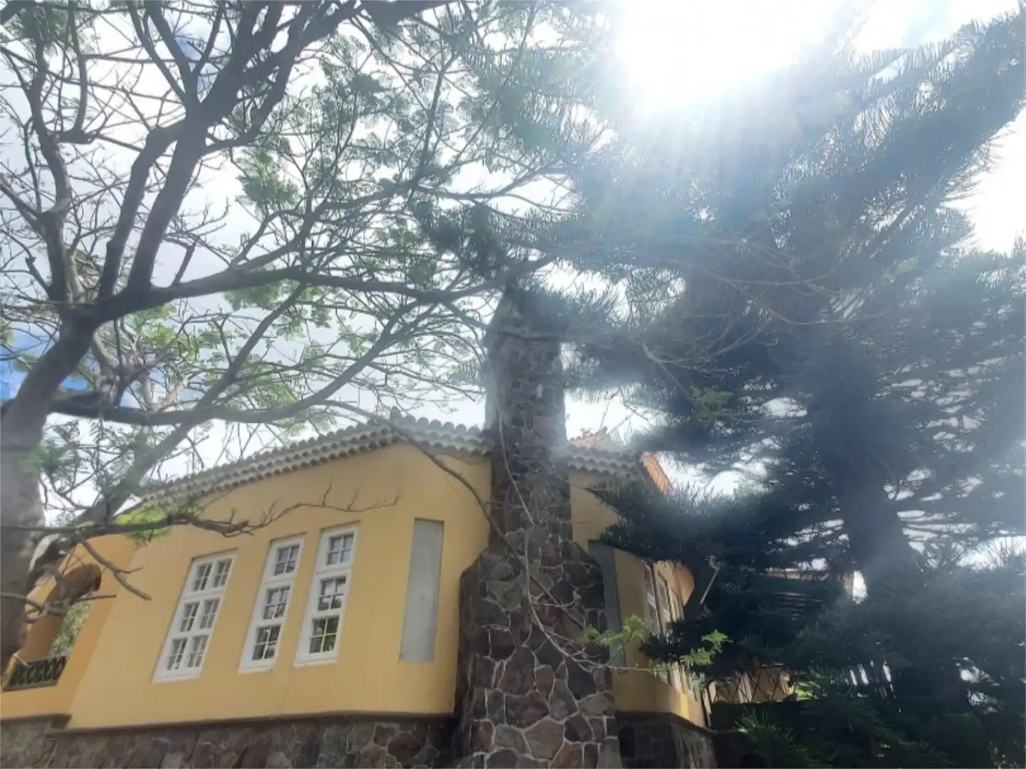 Exterior view of Houses for sale in Santa Brígida  with Private garden, Terrace and Storage room