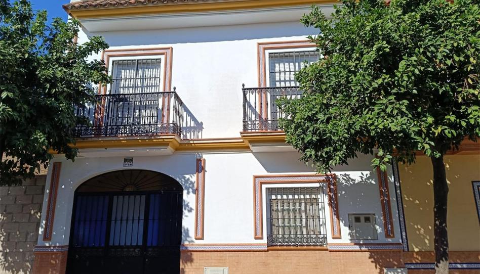 Flat to share in Calle Tixe, 48, Centro - Doña Mercedes, Sevilla - image 1 Photo 1 of Flat to share in Calle Tixe, 48, Centro - Doña Mercedes, Sevilla