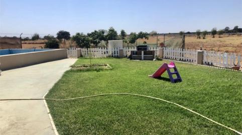 Foto 4 de Finca rústica en venda a A-472, 13, Niebla, Huelva