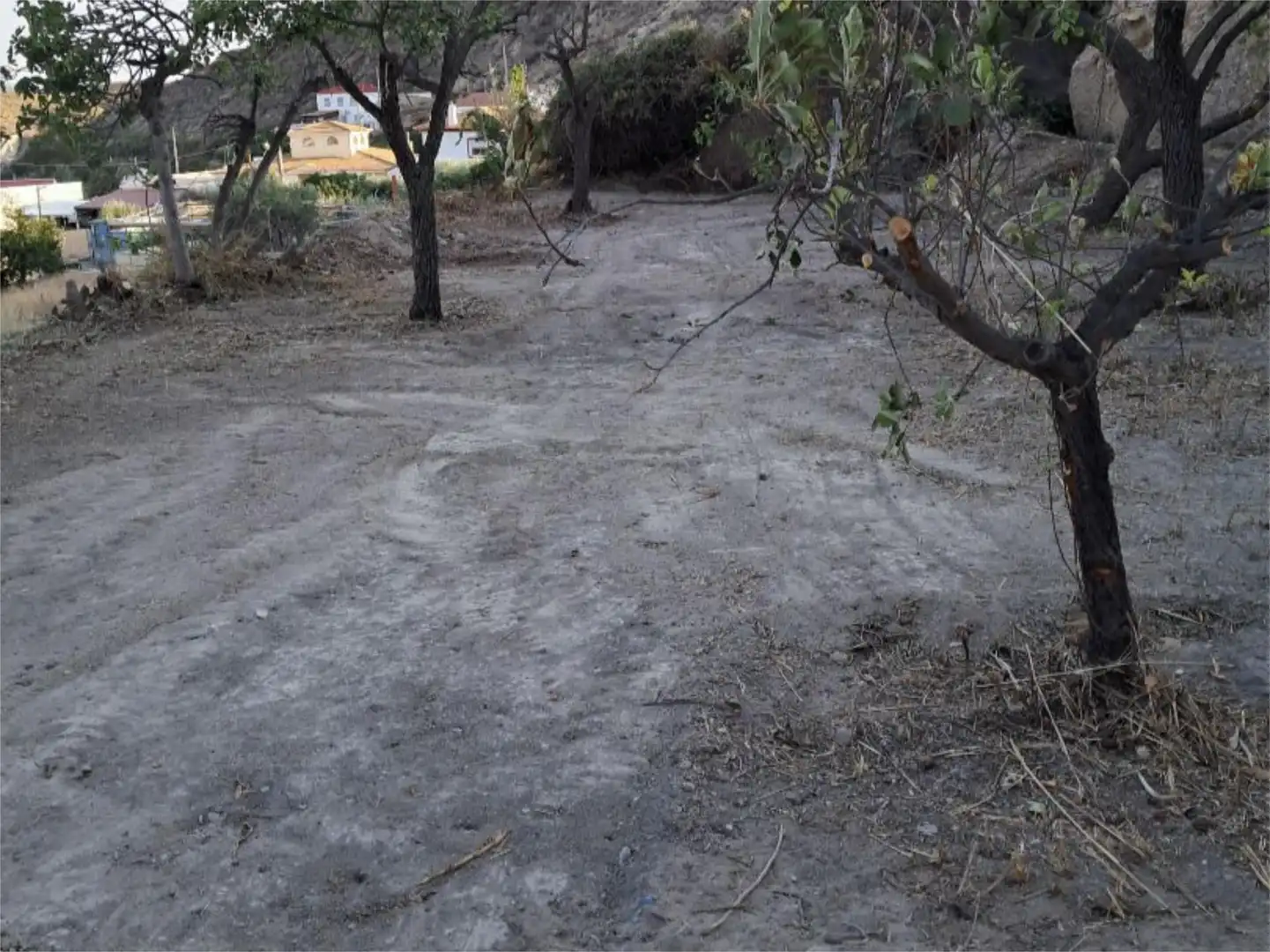 Ground floor for sale in Calle Jose Antonio, 11, Partaloa Ground floor for sale in Partaloa with Private garden