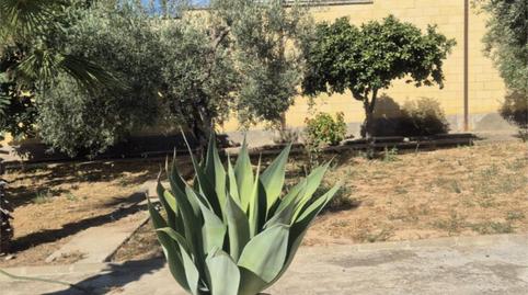 Foto 5 de Casa o xalet en venda a Calle Buenavista, 20c, Arco Norte - Avda. España, Sevilla