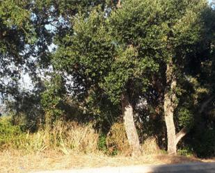 Constructible Land for sale in Palafolls