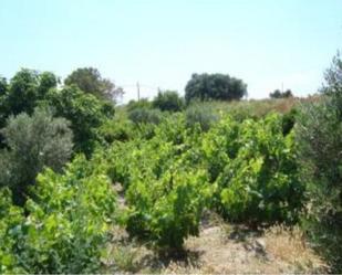 Land for sale in Carboneras