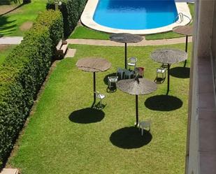 Garden of Flat to rent in Cullera  with Terrace and Swimming Pool