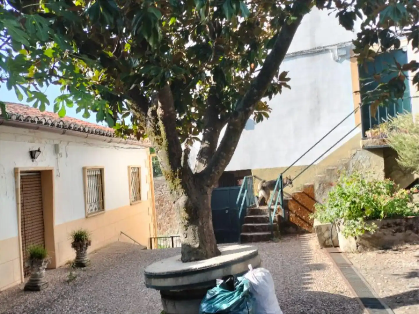 Exterior view of Houses for sale in Madrigal de la Vera  with Private garden, Terrace and Storage room