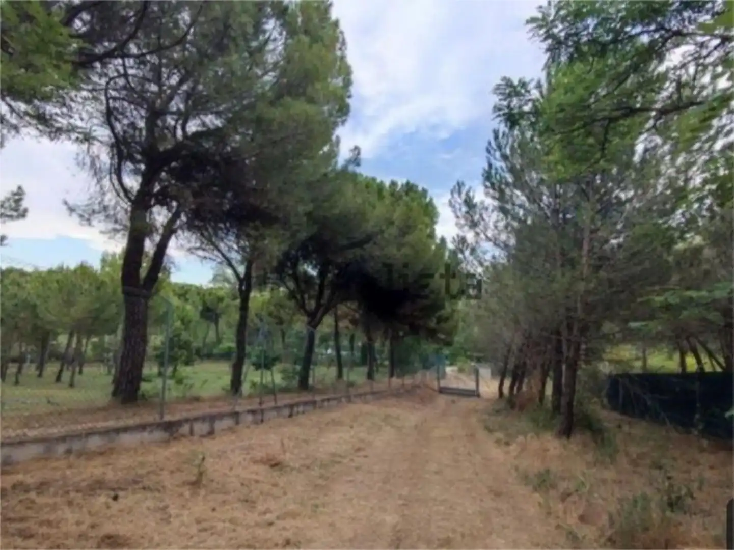 Casa o chalet en venta en Camino Senda del Galgo, 3, Allende el Río Casa o chalet en venta en Palencia
