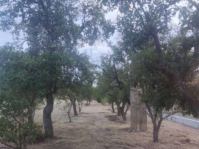 Casa-chalet en Venta en Camino Senda del Galgo, 3 en Allende el Río