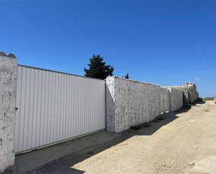 Vista exterior de Finca rústica de lloguer en Chiclana de la Frontera amb Terrassa