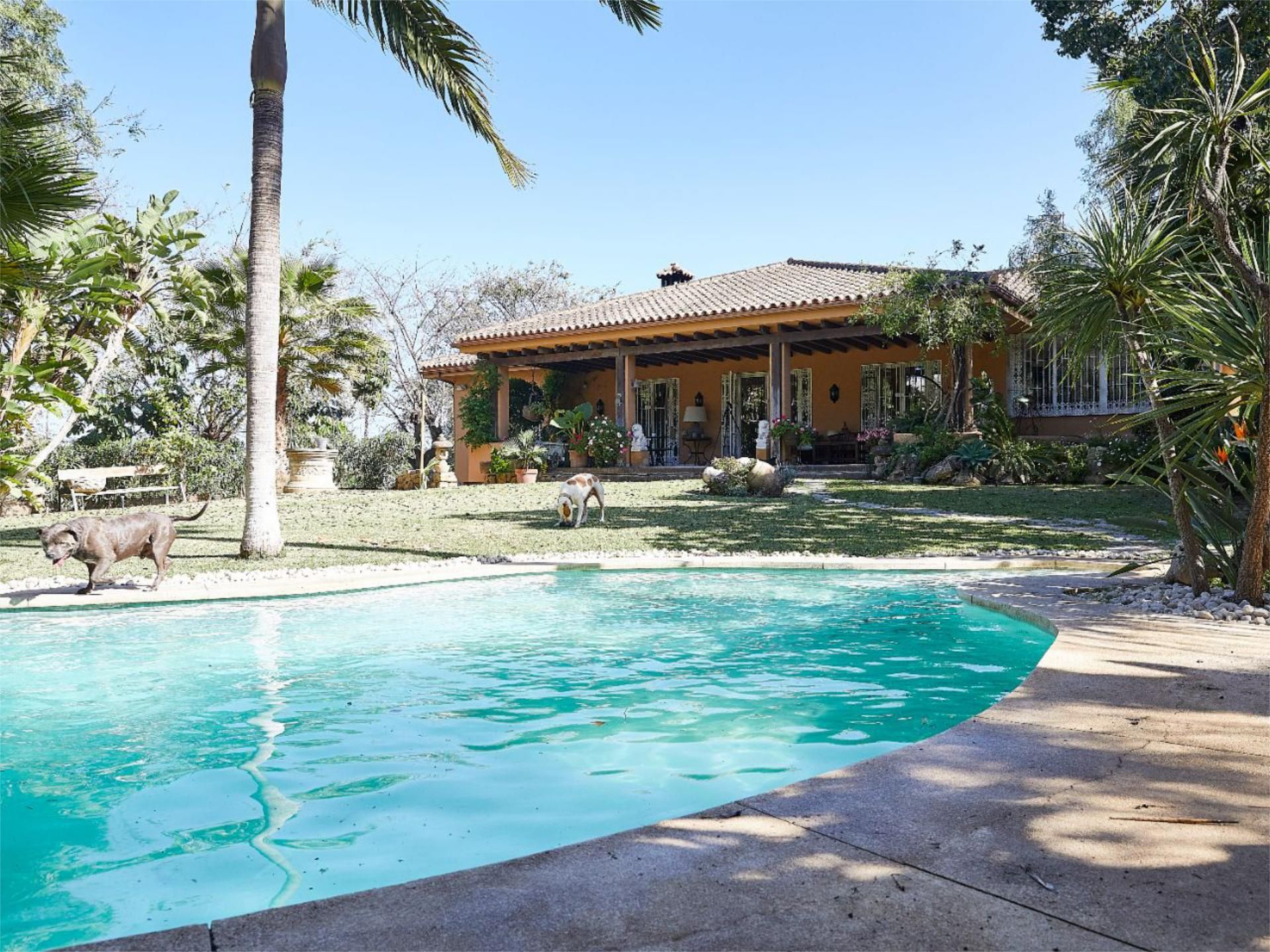 Piscina de Casa o xalet en venda en Marbella amb Aire condicionat, Terrassa i Piscina