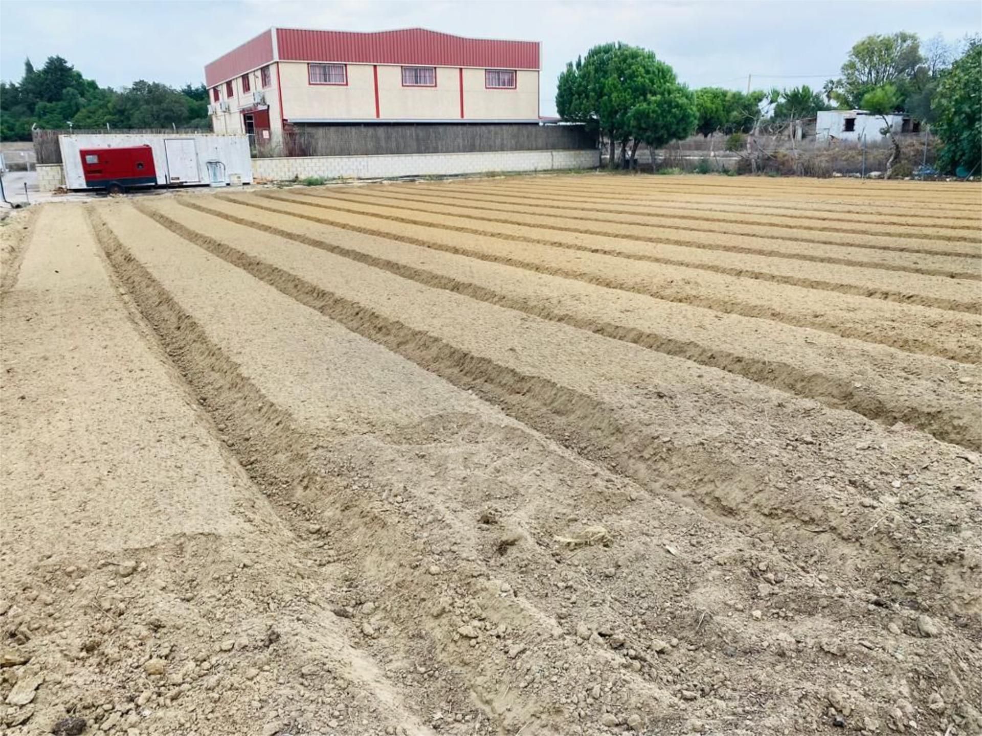 Land for sale in Sanlúcar de Barrameda