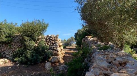 Country house for sale in Biniali, 94, Sant Lluís - S'Ullestrar - Torret, Illes Balears - image 2 Photo 2 of Country house for sale in Biniali, 94, Sant Lluís - S'Ullestrar - Torret, Illes Balears