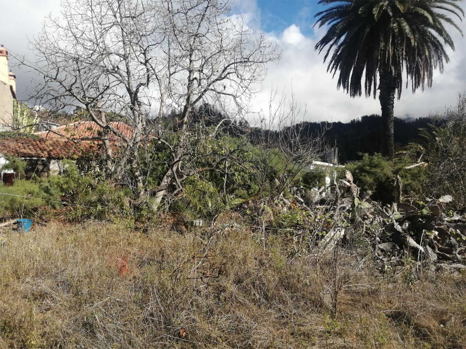 Finca rústica en venda en Puntagorda