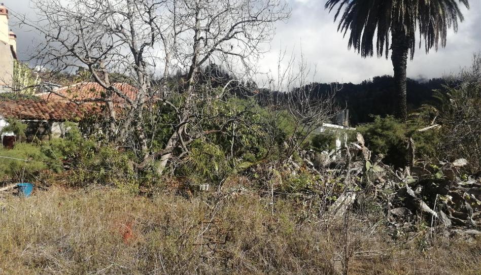 Country house for sale in Carretera General, 78, Puntagorda, Santa Cruz de Tenerife - image 1 Photo 1 of Country house for sale in Carretera General, 78, Puntagorda, Santa Cruz de Tenerife