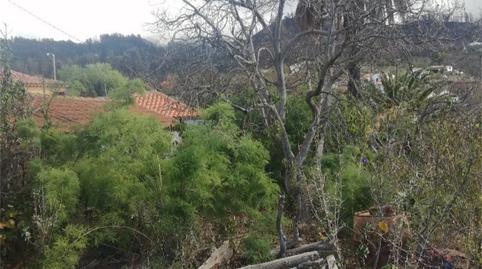 Country house for sale in Carretera General, 78, Puntagorda, Santa Cruz de Tenerife - image 2 Photo 2 of Country house for sale in Carretera General, 78, Puntagorda, Santa Cruz de Tenerife