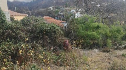 Country house for sale in Carretera General, 78, Puntagorda, Santa Cruz de Tenerife - image 3 Photo 3 of Country house for sale in Carretera General, 78, Puntagorda, Santa Cruz de Tenerife