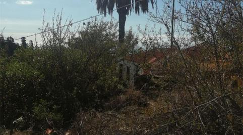 Country house for sale in Carretera General, 78, Puntagorda, Santa Cruz de Tenerife - image 4 Photo 4 of Country house for sale in Carretera General, 78, Puntagorda, Santa Cruz de Tenerife