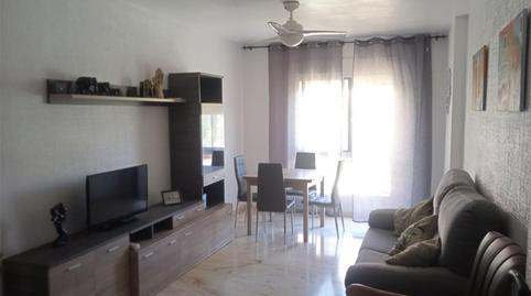 Photo 3 of Flat to share in Avenida de Gregorio Prieto, 6, El Tejar - Hacienda Bizcochero, Málaga