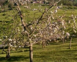 Jardí de Finca rústica en venda en Peñamellera Alta