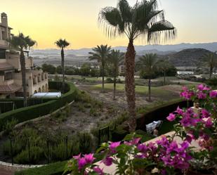 Jardí de Àtic en venda en Águilas amb Aire condicionat, Terrassa i Piscina